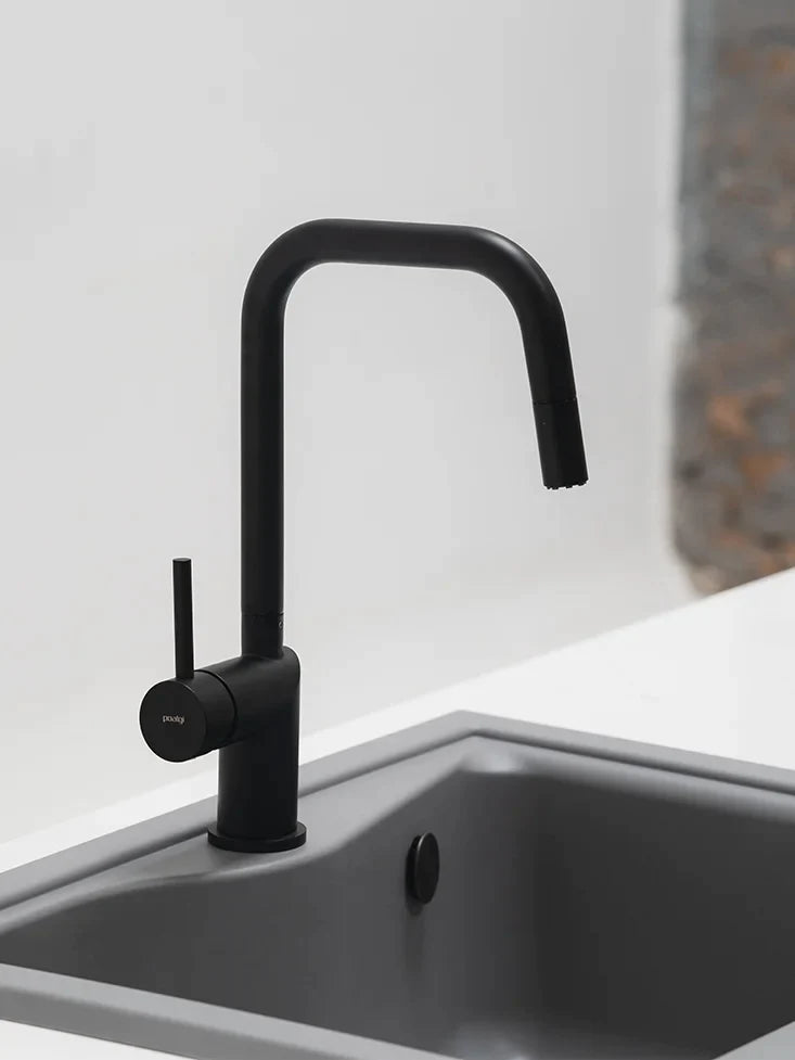 Accesorios Grifo de cocina con ducha extraíble Poalgi