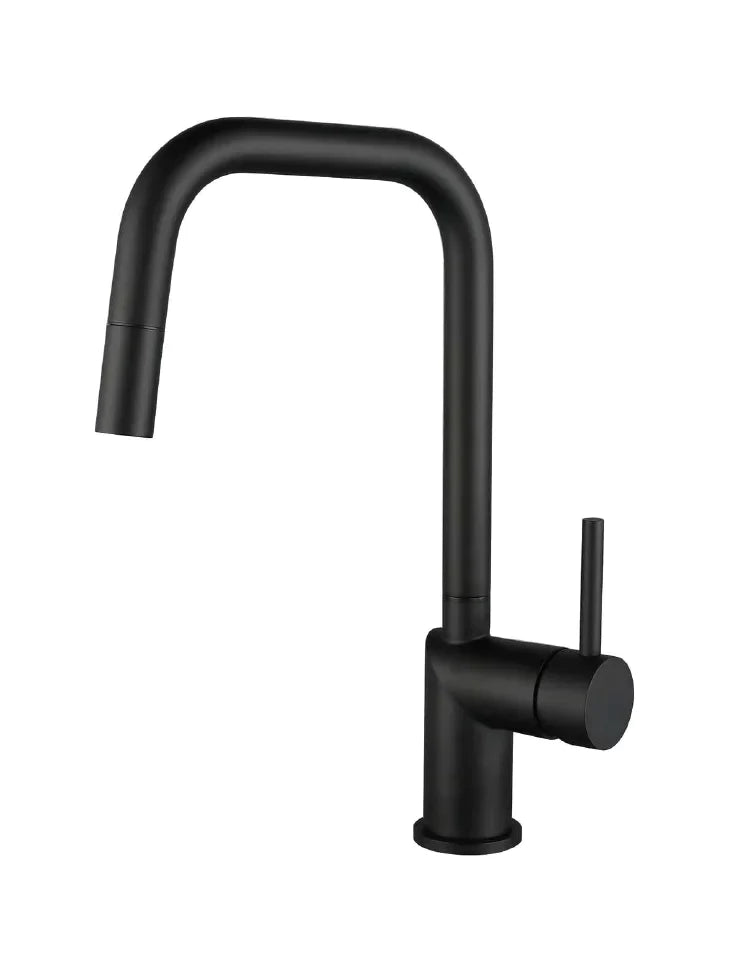 Accesorios Grifo de cocina con ducha extraible Poalgi