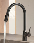 Mitigeur de Cuisine Courbé avec douchette extractible NOBILI