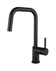 Kitchen faucet with removable shower